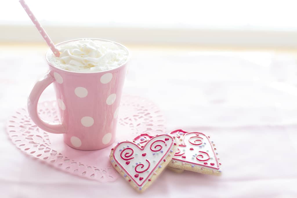 A cup of hot chocolate in a mug with two heart shaped cookies for Valentine's Day