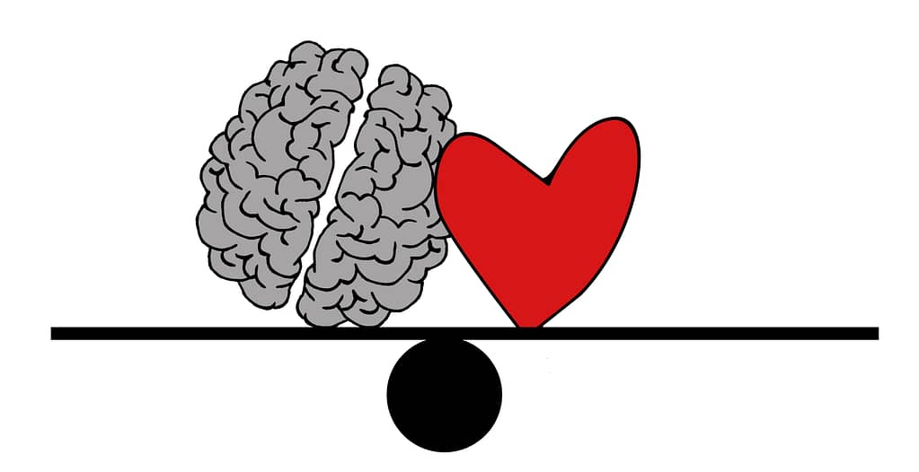 Heart and brain sitting balanced on a seesaw