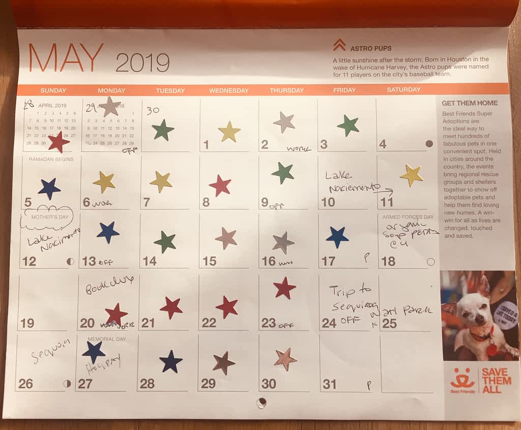 My calendar with achievement stars