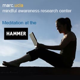 Mindful Meditation at the Hammer
